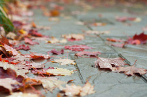 Why You Should Build Your Composite Deck in the Fall