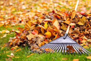 How to Prepare Your Home’s Deck for Autumn